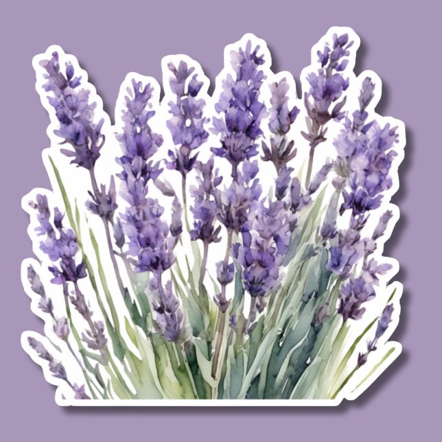 Watercolor Wild Lavender Waterproof  (Creator Uploaded)
