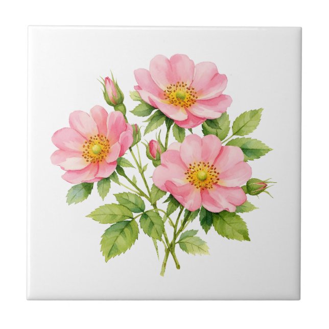 Watercolor Wild Pink Roses  Tile (Front)