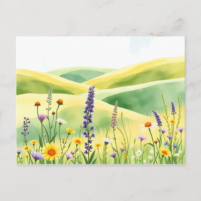 Watercolor Wildflowers and Rolling Meadow Hills Postcard (Front)
