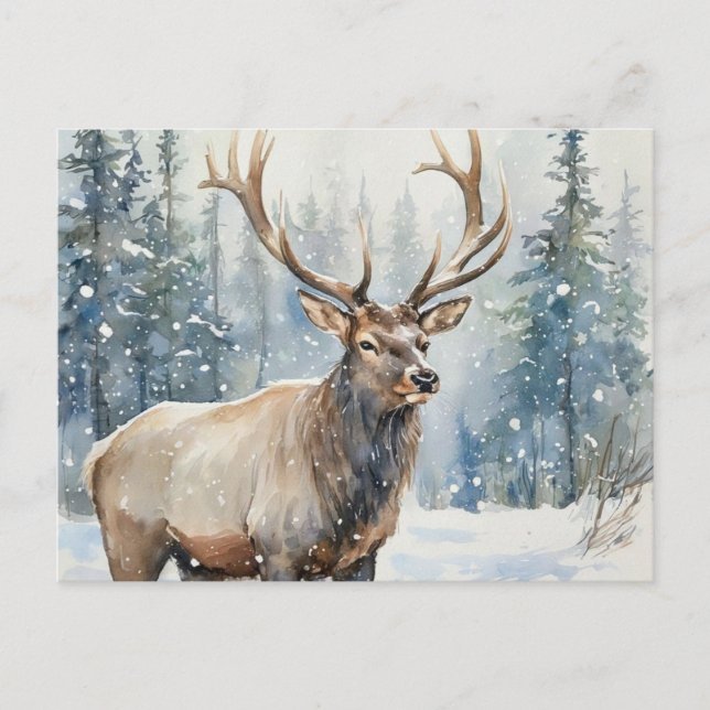 Watercolor Wildlife Elk in Winter  Postcard (Front)
