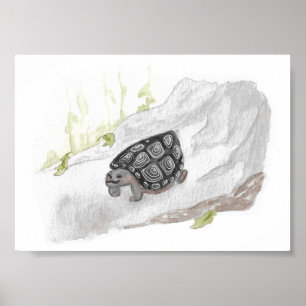 Watercolor Wildlife Nature Forest Turtle Poster