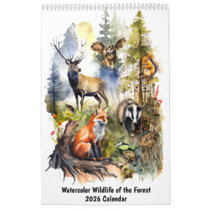 Watercolor Wildlife of the Forest – 2026 Calendar