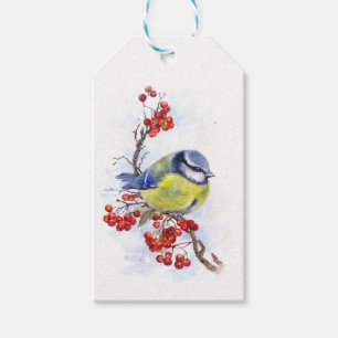 Watercolor winter titmouse bird illustration branc gift tags