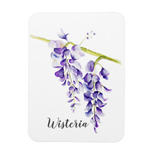 Watercolor Wisteria Botanical Magnet