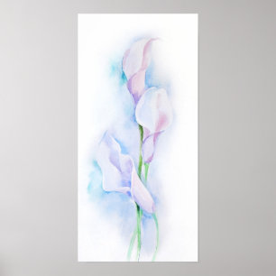 watercolor with 3 callas poster
