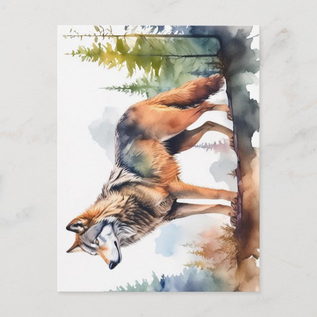 Watercolor Wolf in Forest Postcard (Front)