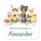 Watercolor Woodland Animals Bookplate Labels