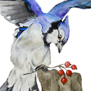 Watercolor woodland bird blue jay canvas print