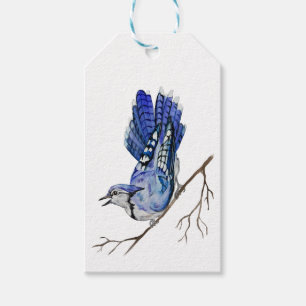 Watercolor woodland bird blue jay Gift Tags