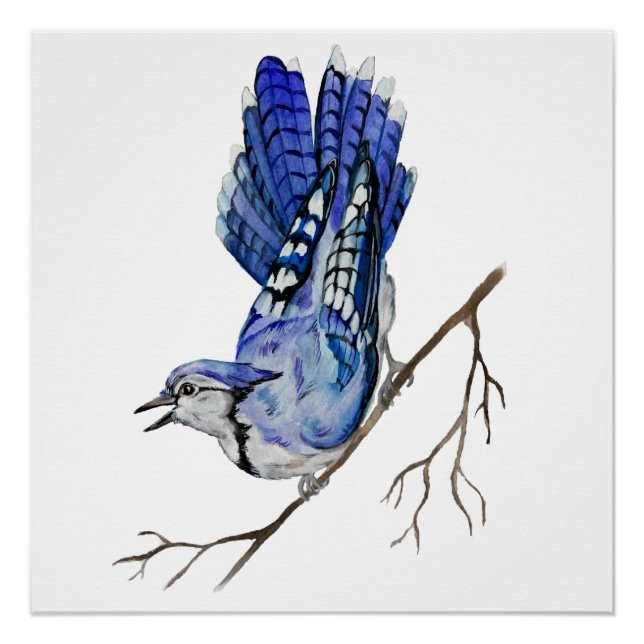 Watercolor woodland bird blue jay poster (Front)