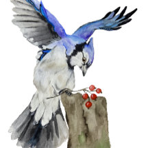 Watercolor woodland bird blue jay