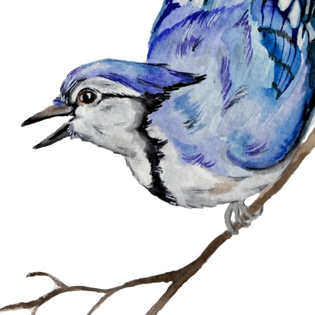 Watercolor woodland bird blue jay square sticker (Creator Uploaded)