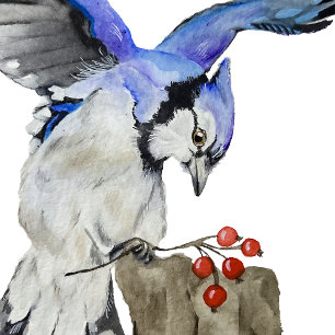 Watercolor woodland bird blue jay thank you card