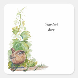 Watercolor Wren Bird Vineyard Grapes Leaves Winery Square Sticker