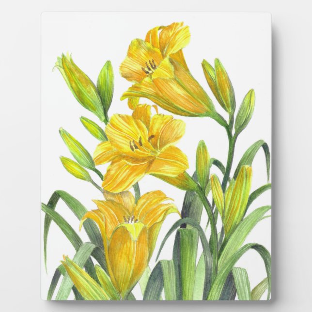 Watercolor Yellow Day Lilies Floral Art Plaque (Front)