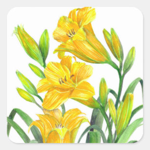 Watercolor Yellow Day Lilies Floral Art Square Sticker