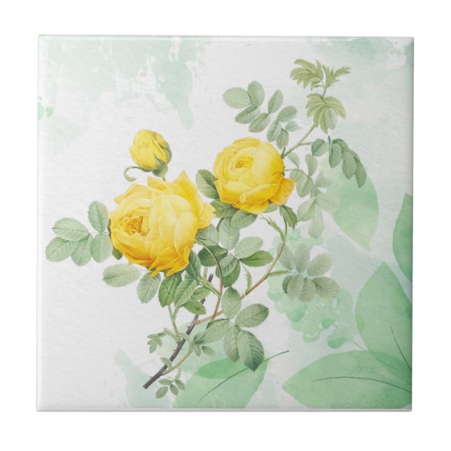 Watercolor Yellow Rose Garden Flower Nature Art Tile (Front)