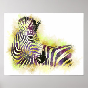 Watercolor Zeba Poster