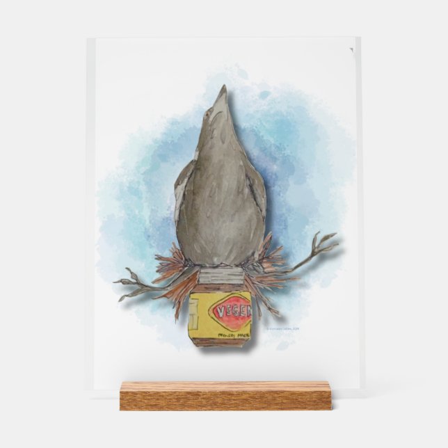 Watercolour Australian magpie table art Acrylic Sign (Front)