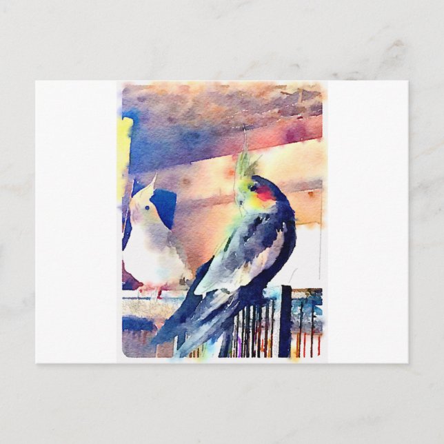 Watercolour Cockatiel Postcard (Front)