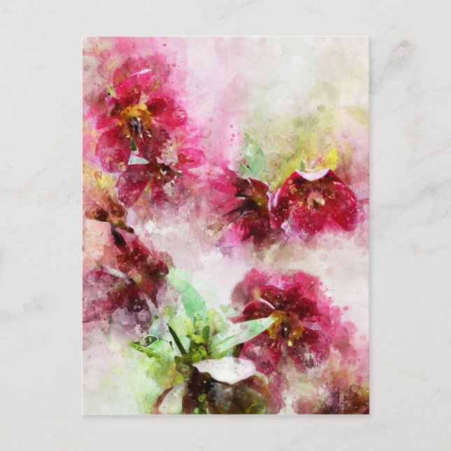 Watercolour Painting of a Hellebore flower Postcard (Front)
