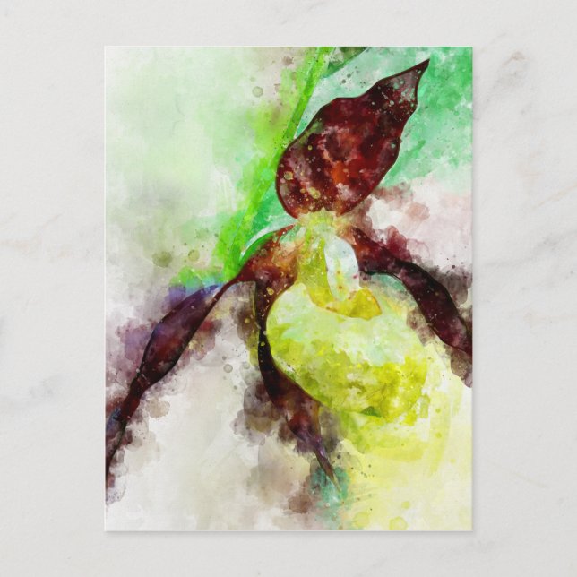Watercolour Painting of a lady's-slipper orchid Postcard (Front)