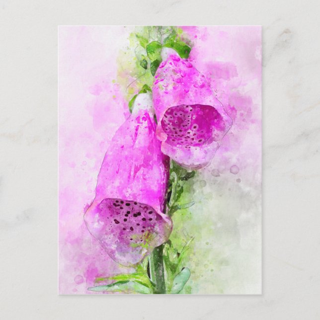 Watercolour painting of flowering foxglove postcard (Front)