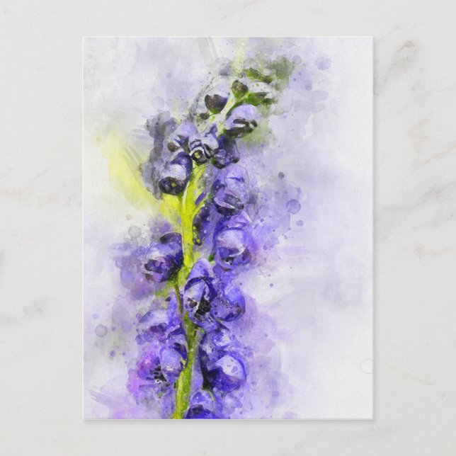 Watercolour painting of flowering monk's-hood postcard (Front)