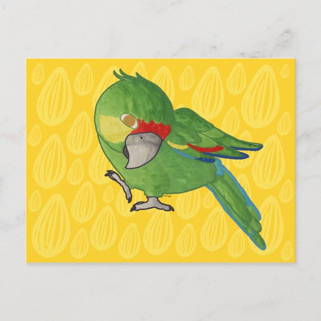 Watercolour parrot postcard (Front)