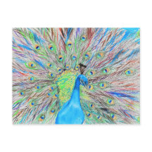 Watercolour Peacock Painting