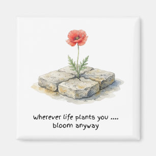 Watercolour Poppy Wherever Life Plants You Magnet