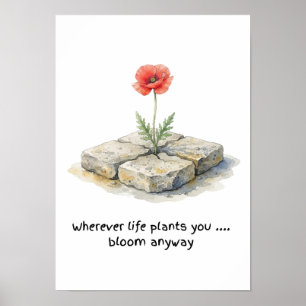 Watercolour Poppy Wherever Life Plants You Poster
