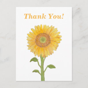 Watercolour Sunflower Thank You Postcards