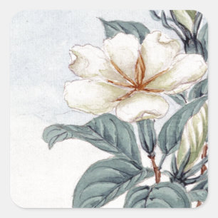 Watercolour White Jasmine Flower Square Sticker