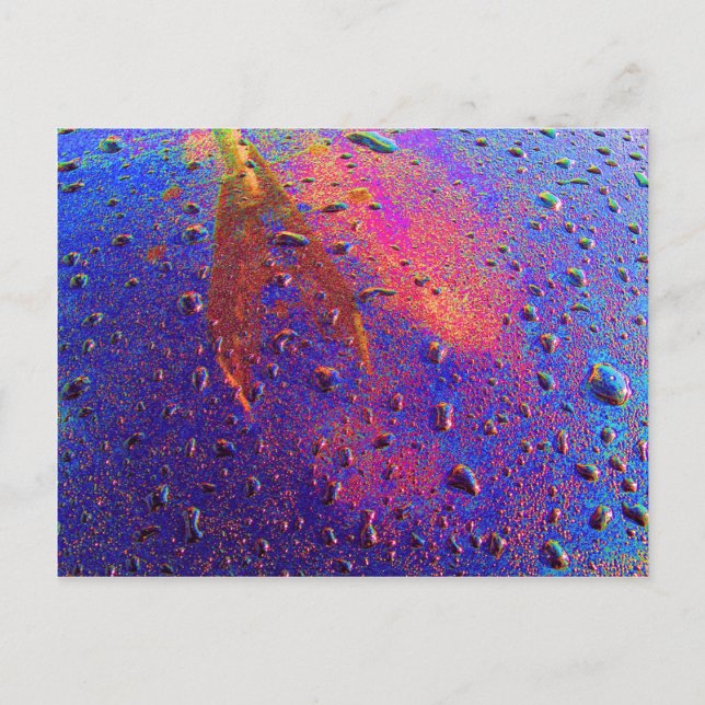 Waterdrops On Car Hood Postcard (Front)