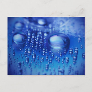 Waterdrops Postcard