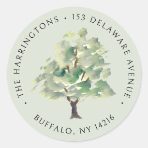 Waterercolor Tree Sage Green Botanical Classic Round Sticker
