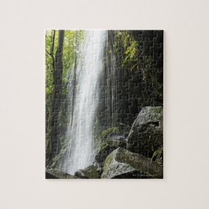 Waterfal, in rainforest, Dominica, Emerald Pool Jigsaw Puzzle
