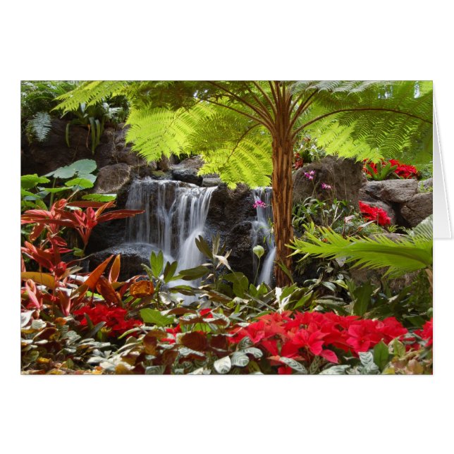 Waterfall (Front Horizontal)