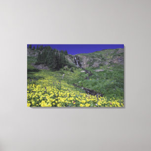 Waterfall and wildflowers in alpine meadow, 2 canvas print