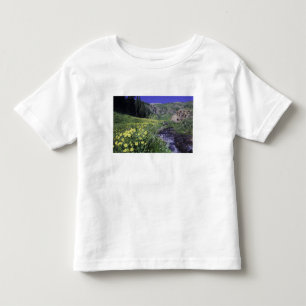 Waterfall and wildflowers in alpine meadow, 2 toddler T-Shirt