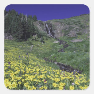 Waterfall and wildflowers in alpine meadow, 3 square sticker