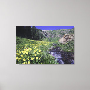 Waterfall and wildflowers in alpine meadow, canvas print