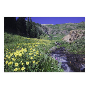 Waterfall and wildflowers in alpine meadow, photo print