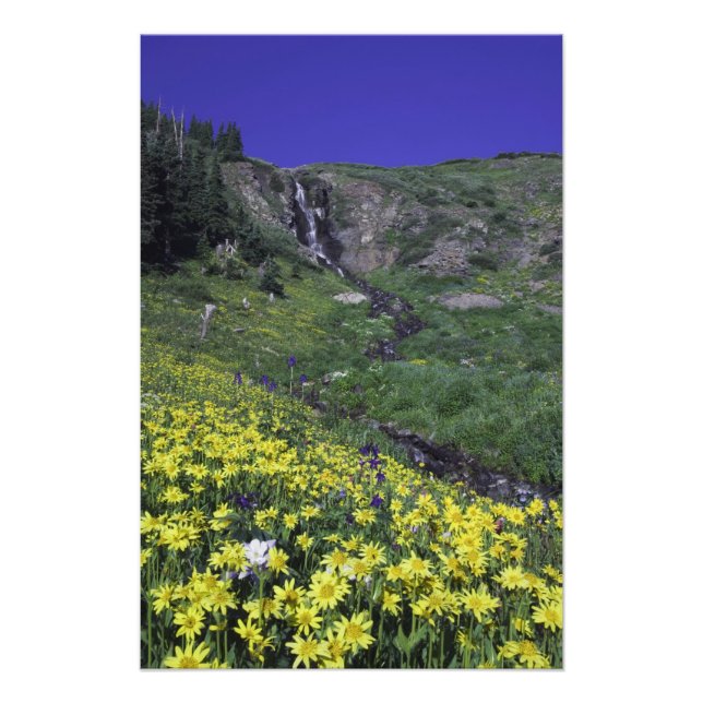 Waterfall and wildflowers in alpine meadow, photo print (Front)