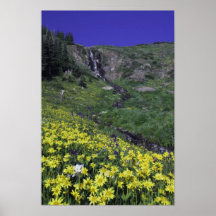 Waterfall and wildflowers in alpine meadow, poster