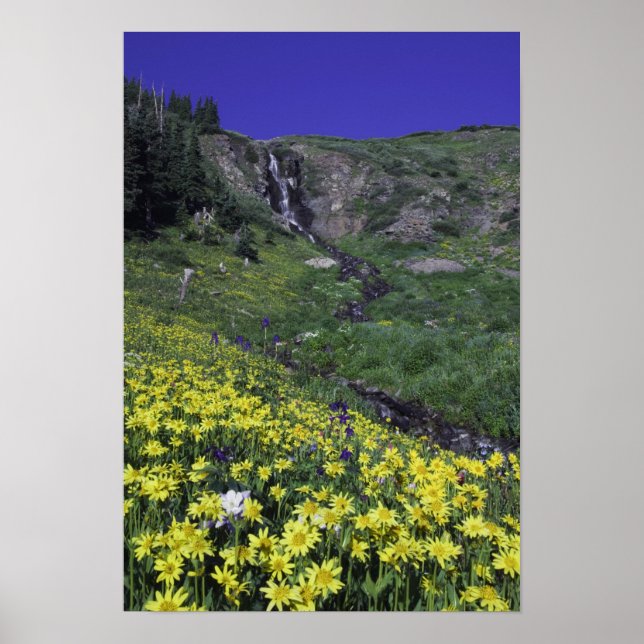 Waterfall and wildflowers in alpine meadow, poster (Front)