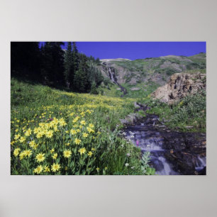 Waterfall and wildflowers in alpine meadow, poster