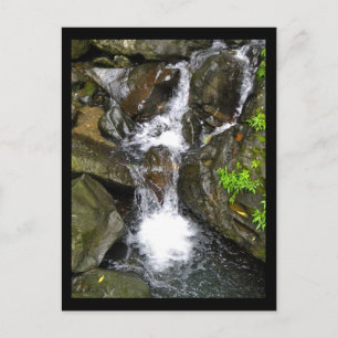 Waterfall at El Yunque National Rainforest Postcard