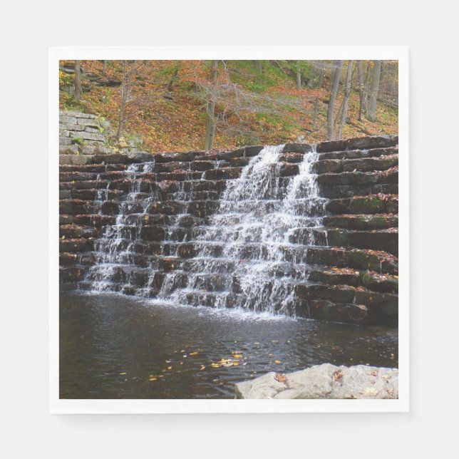 Waterfall at Laurel Hill State Park I Napkin (Front)